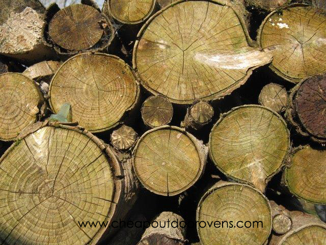 wood for clay pizza ovens